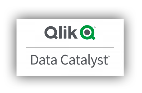 Qlik Data Catalyst®